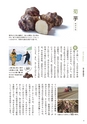 沼田町6次産業化商品活用レシピちょいベジBook