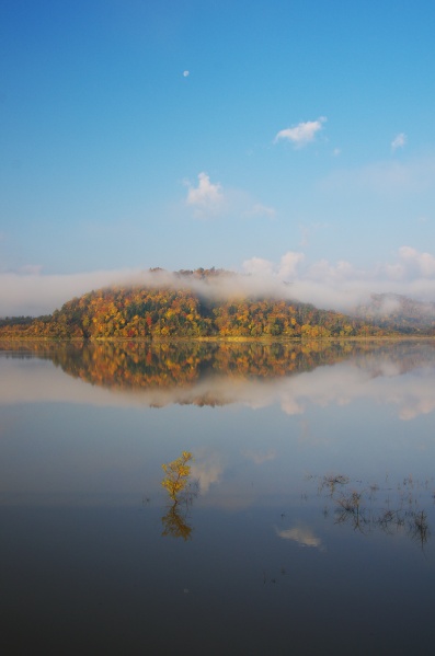 湖の中の紅葉