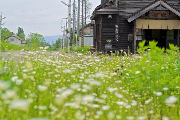 花の中の中村旅館