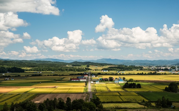 田園風景