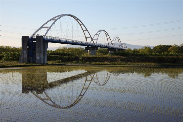 田んぼに写る水道橋