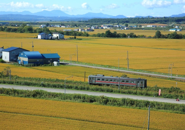 稔りの田園を～疾走