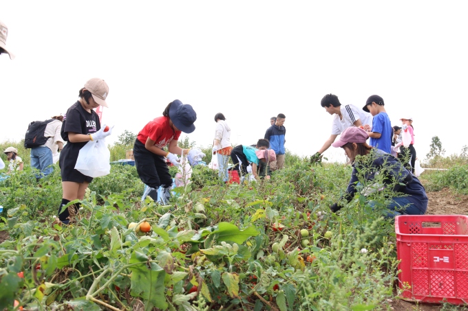 NUMATA TOMATO TOWN構想推進事業