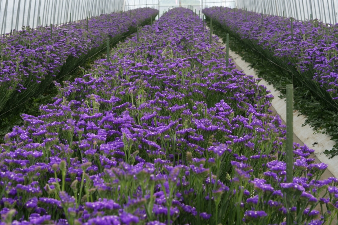 ぬまたアグリファーム