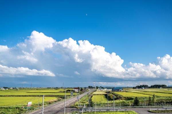 夏の盛りに