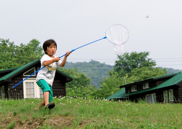 とんぼを採る子供