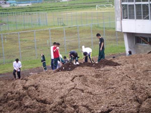 写真：作業の様子