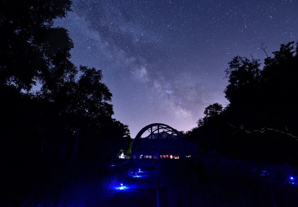 蛍と夜空