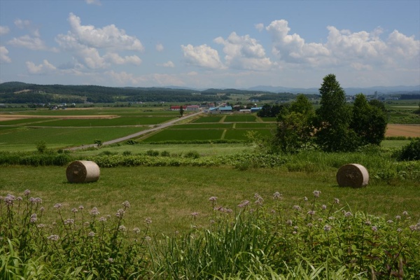 牧場と田園風景