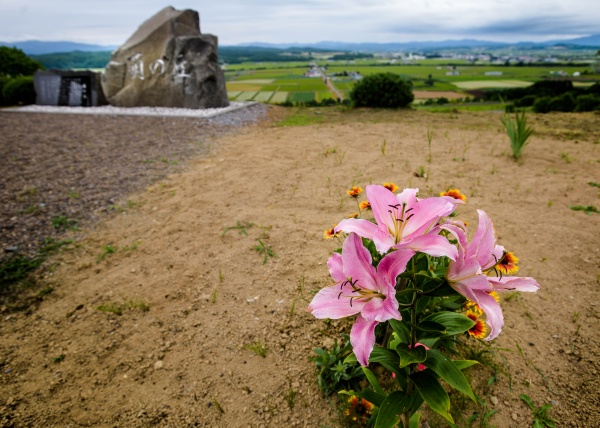 孤高の花