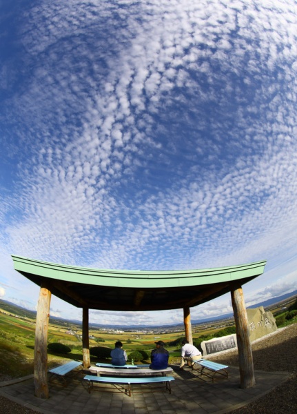 ふる里語るうろこ雲