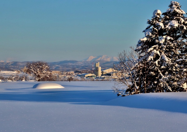 大雪山遠望