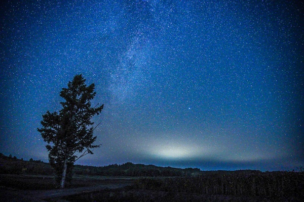 星に願いを