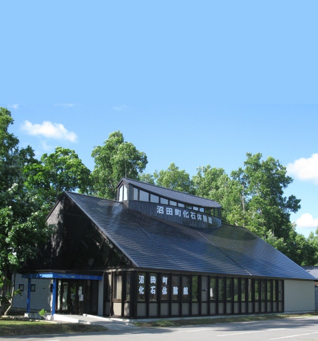 沼田町化石発掘体験館