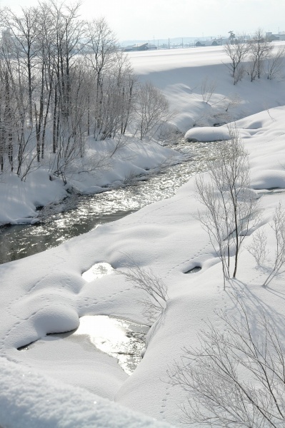 雪の中を流れる川